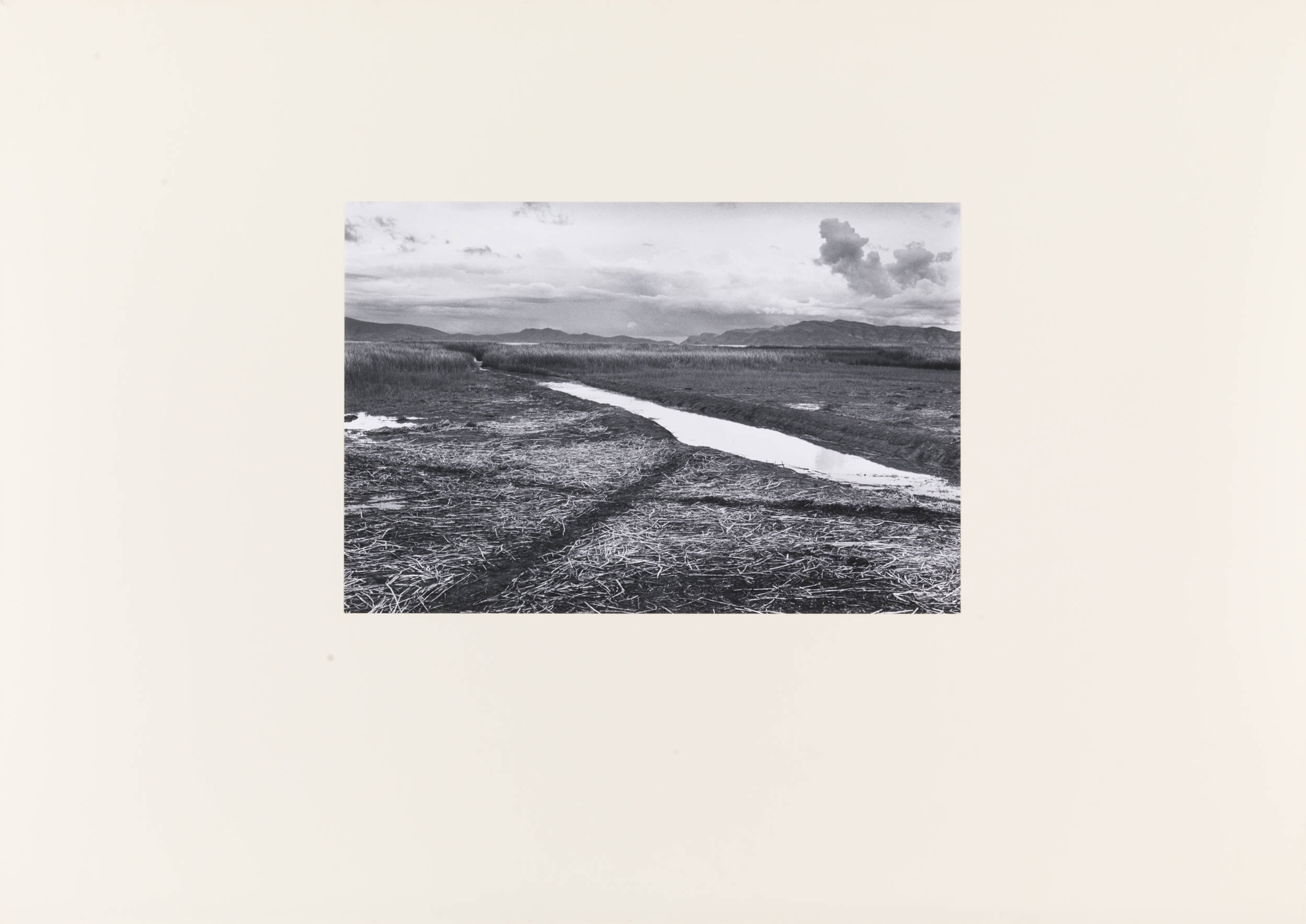 Richard Long
