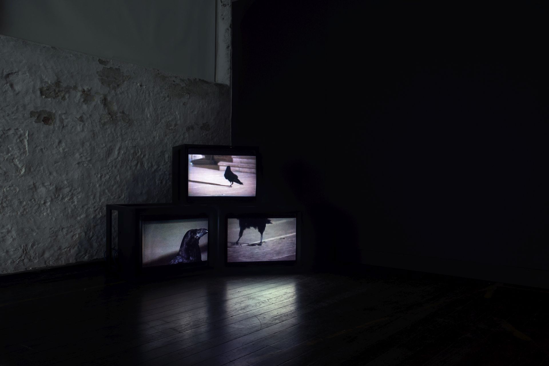 Douglas Gordon