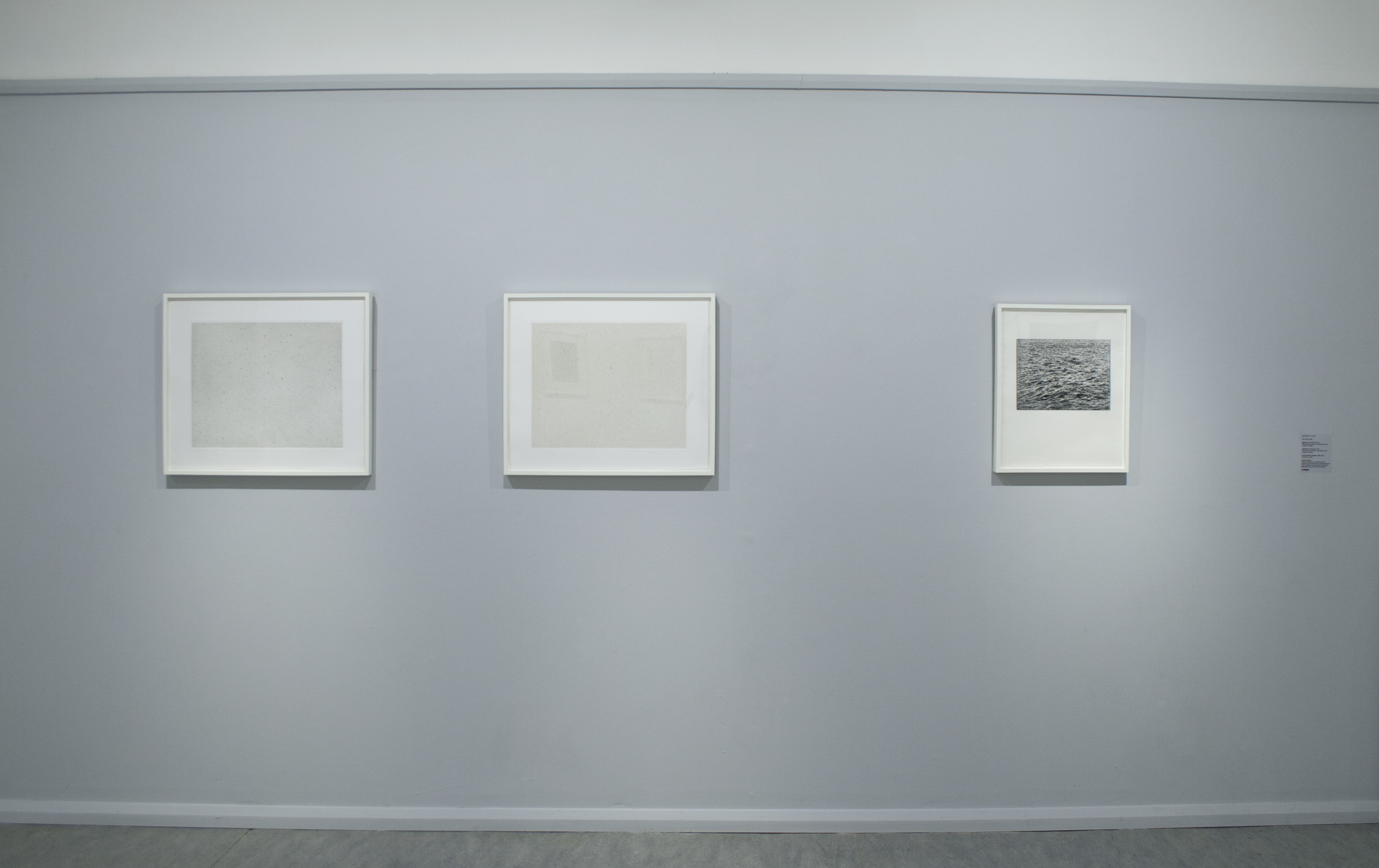 Vija Celmins