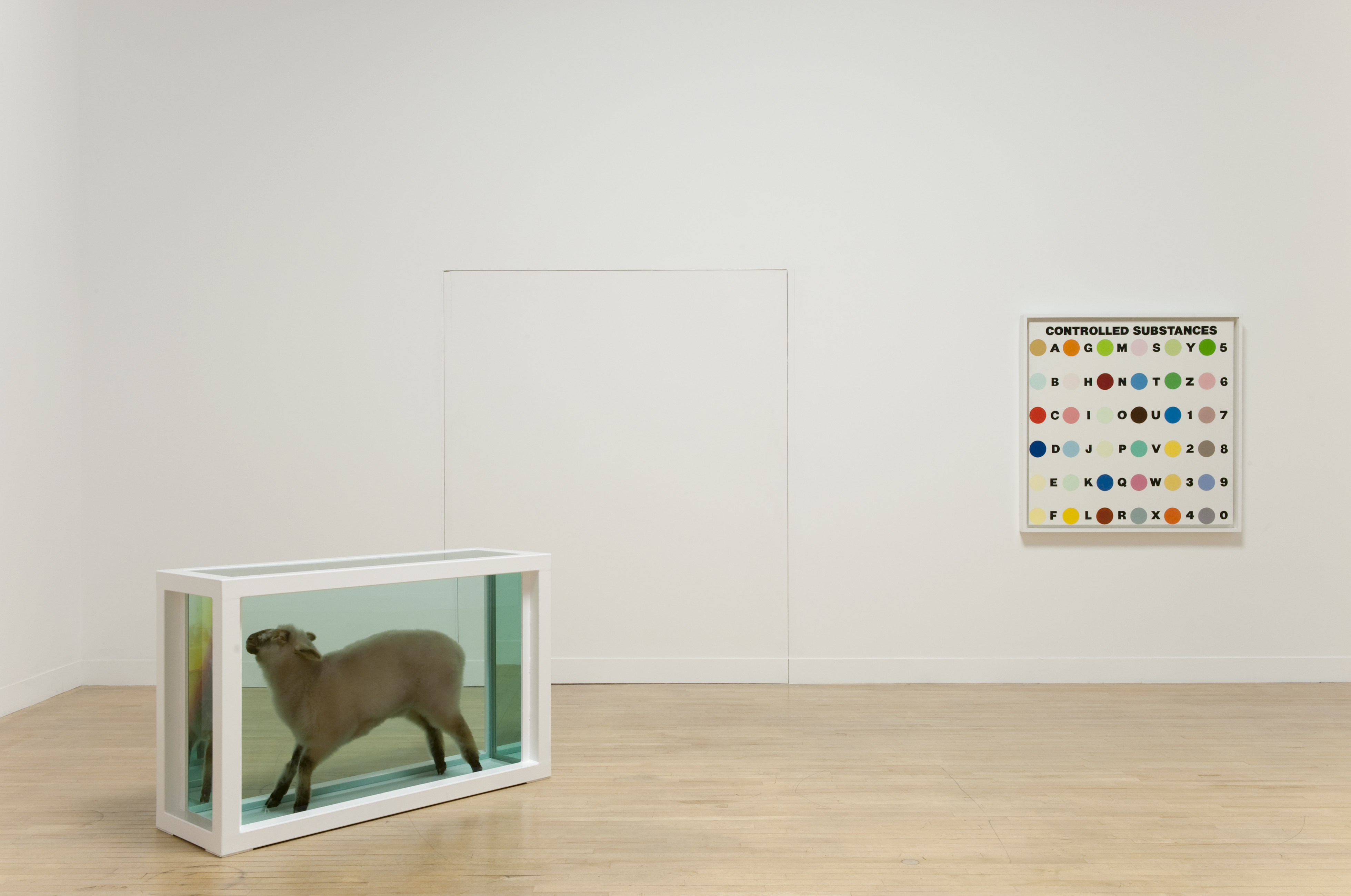 Damien Hirst