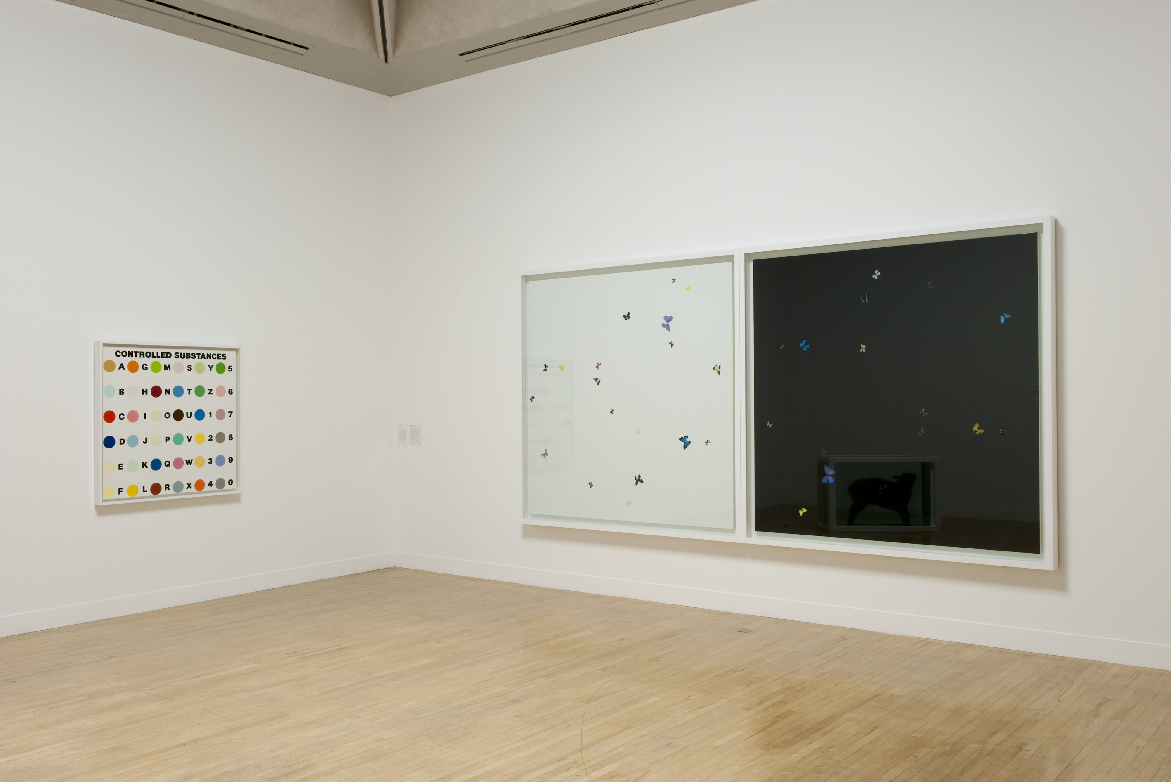 Damien Hirst