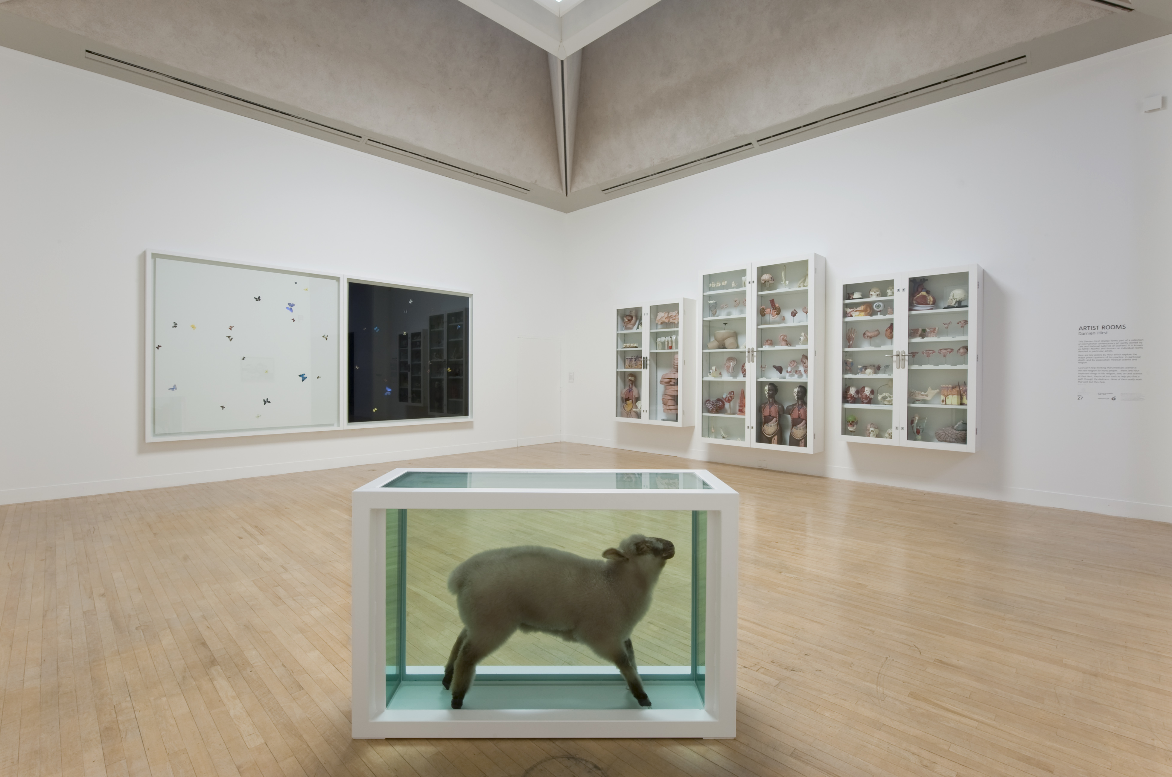 Damien Hirst