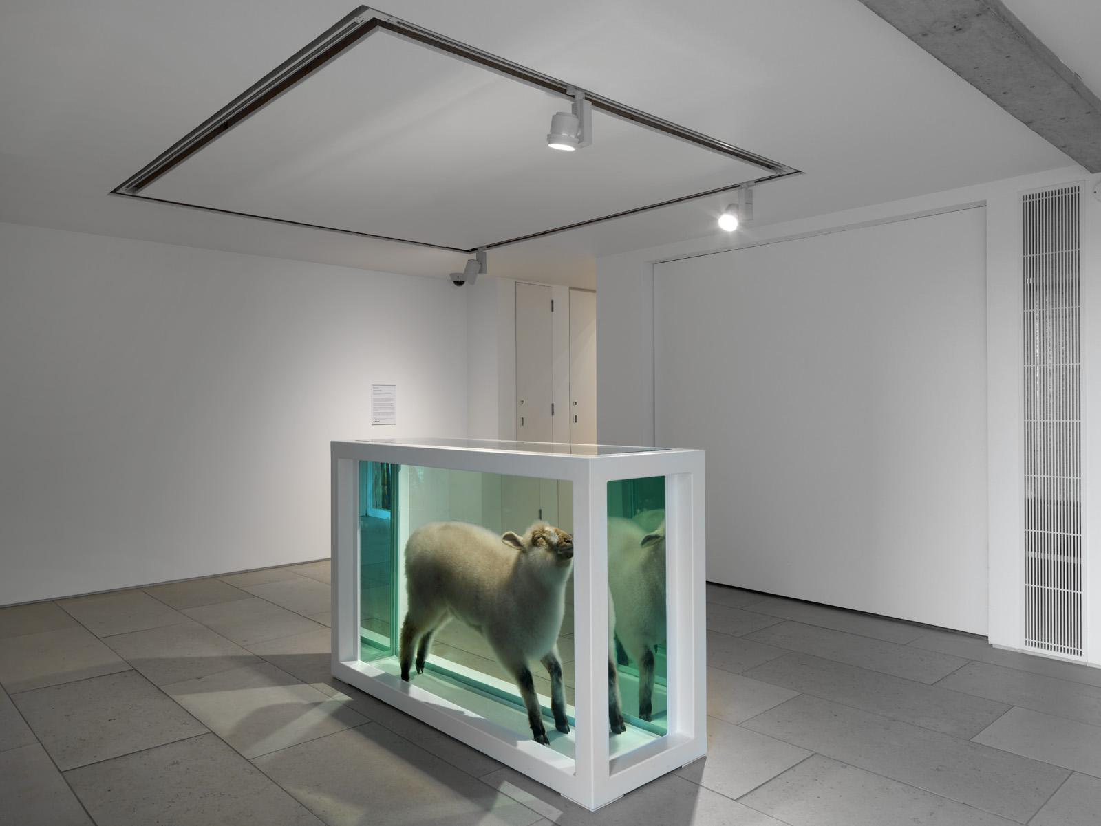 Damien Hirst