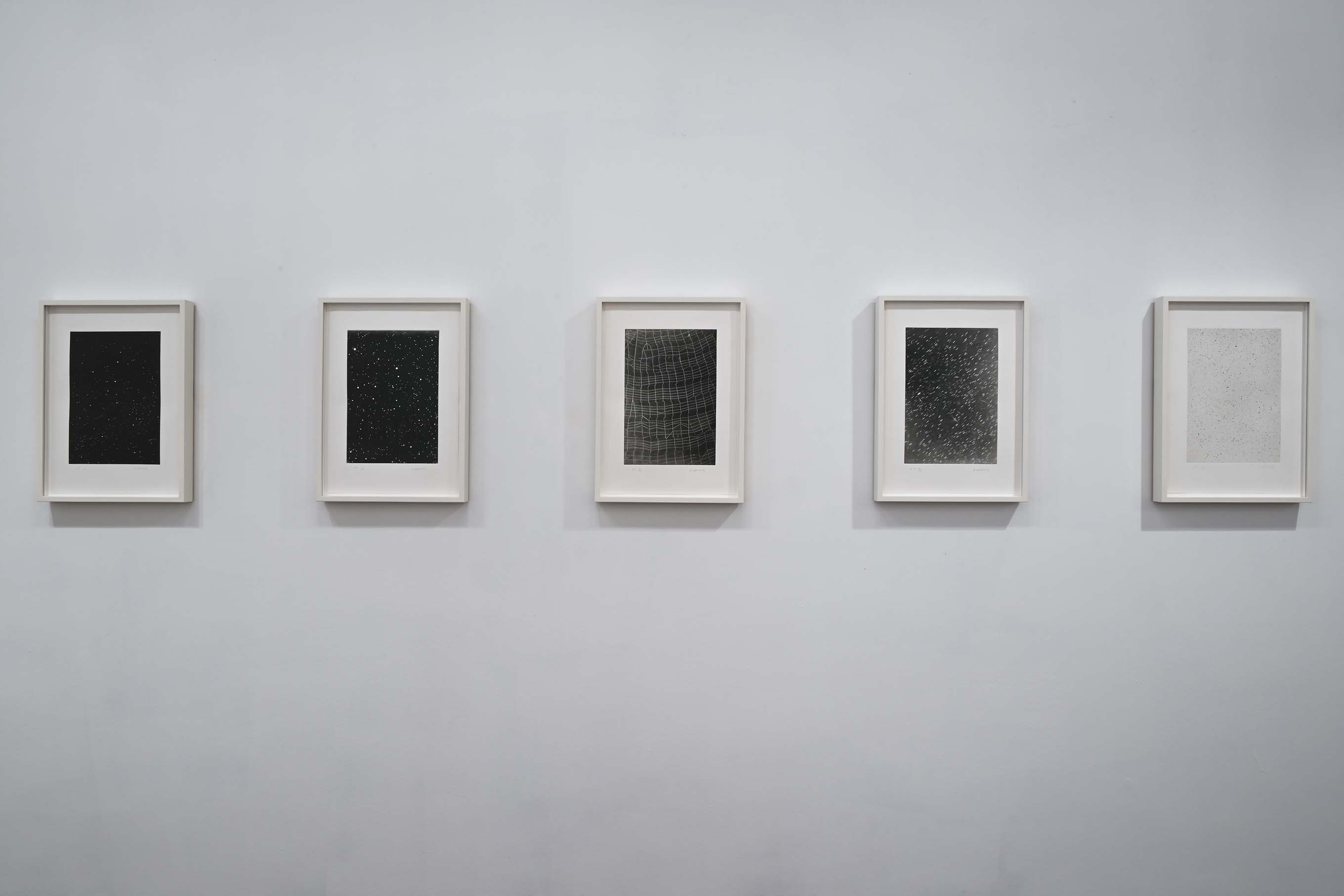 Vija Celmins