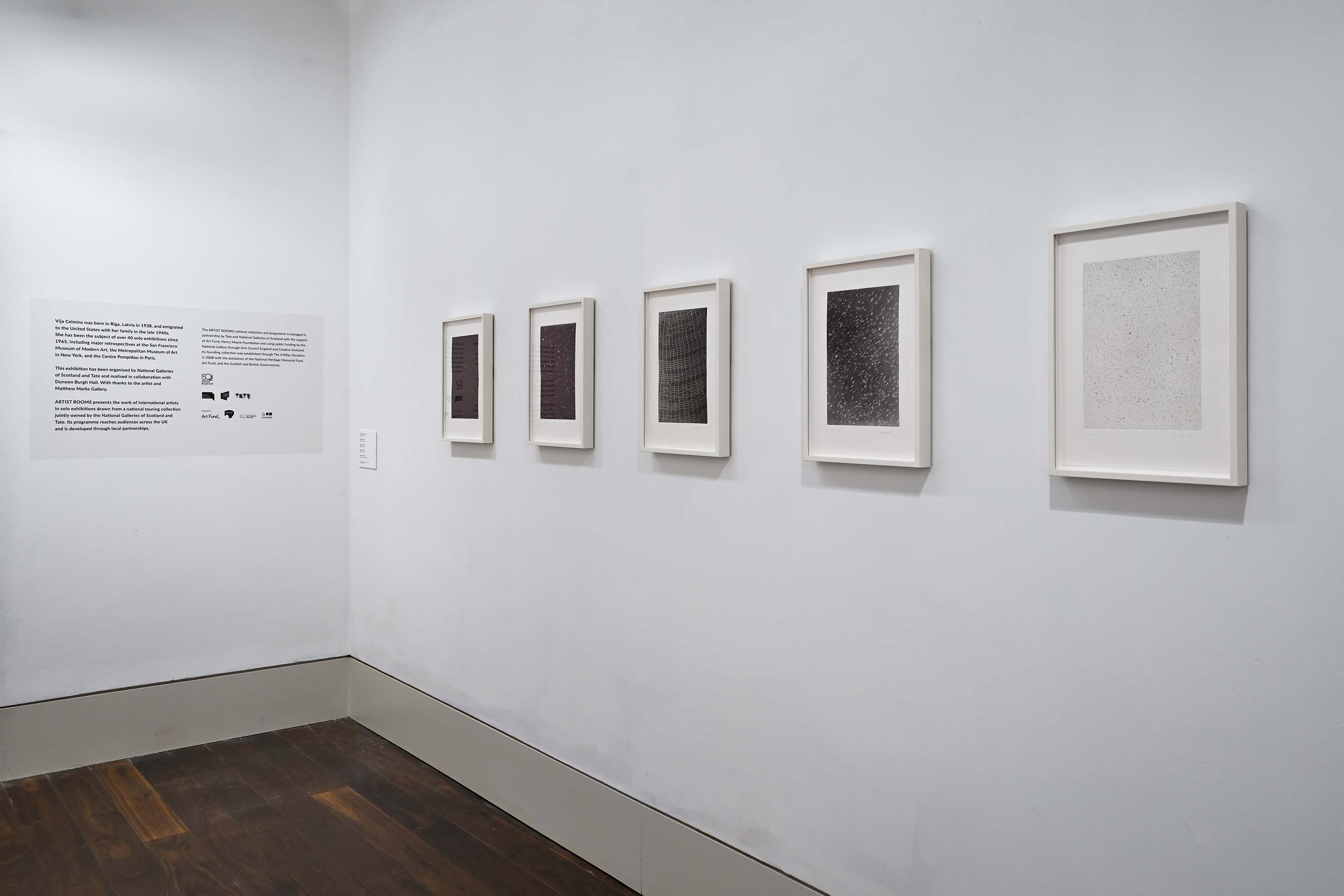Vija Celmins