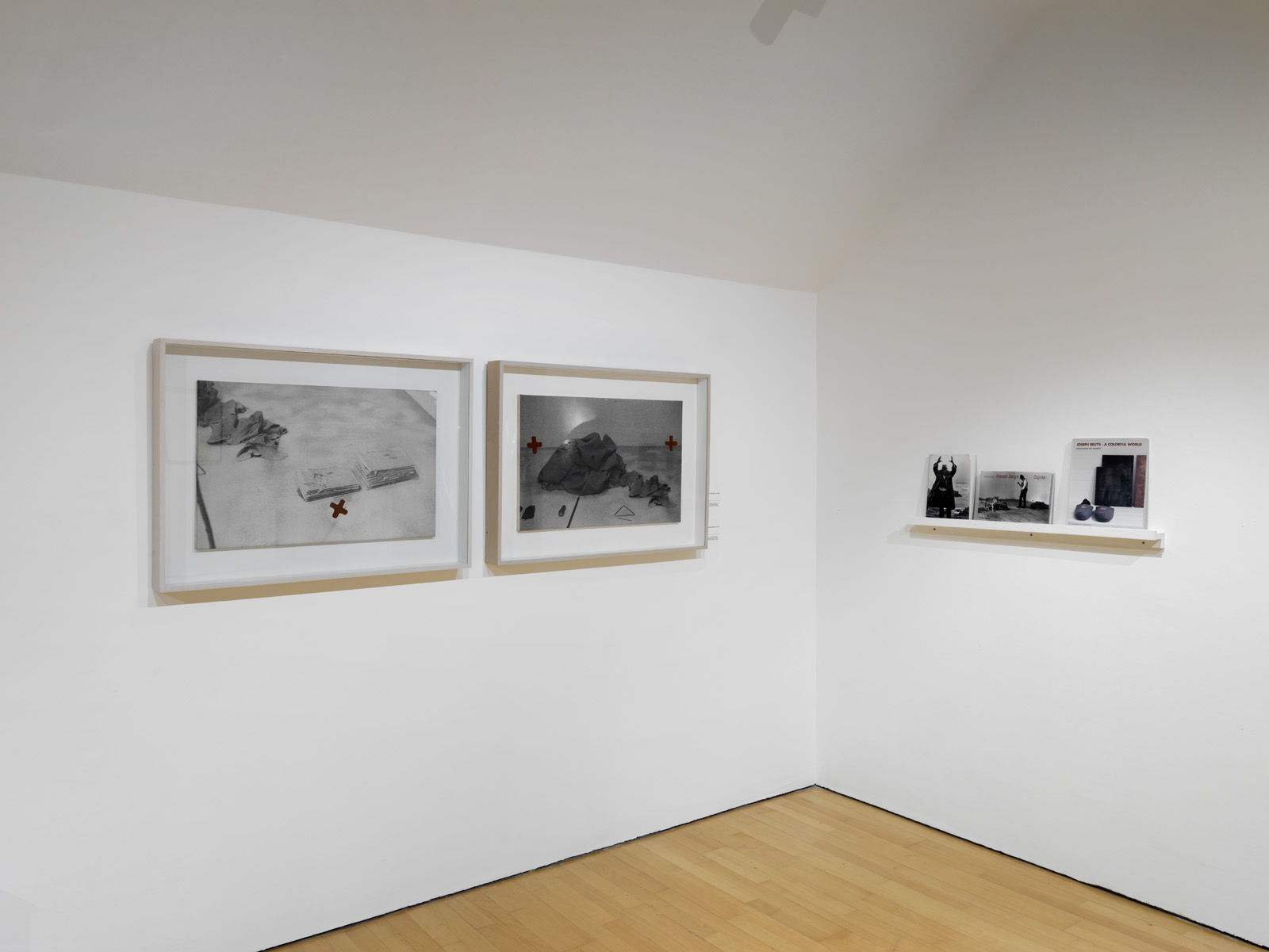 Joseph Beuys