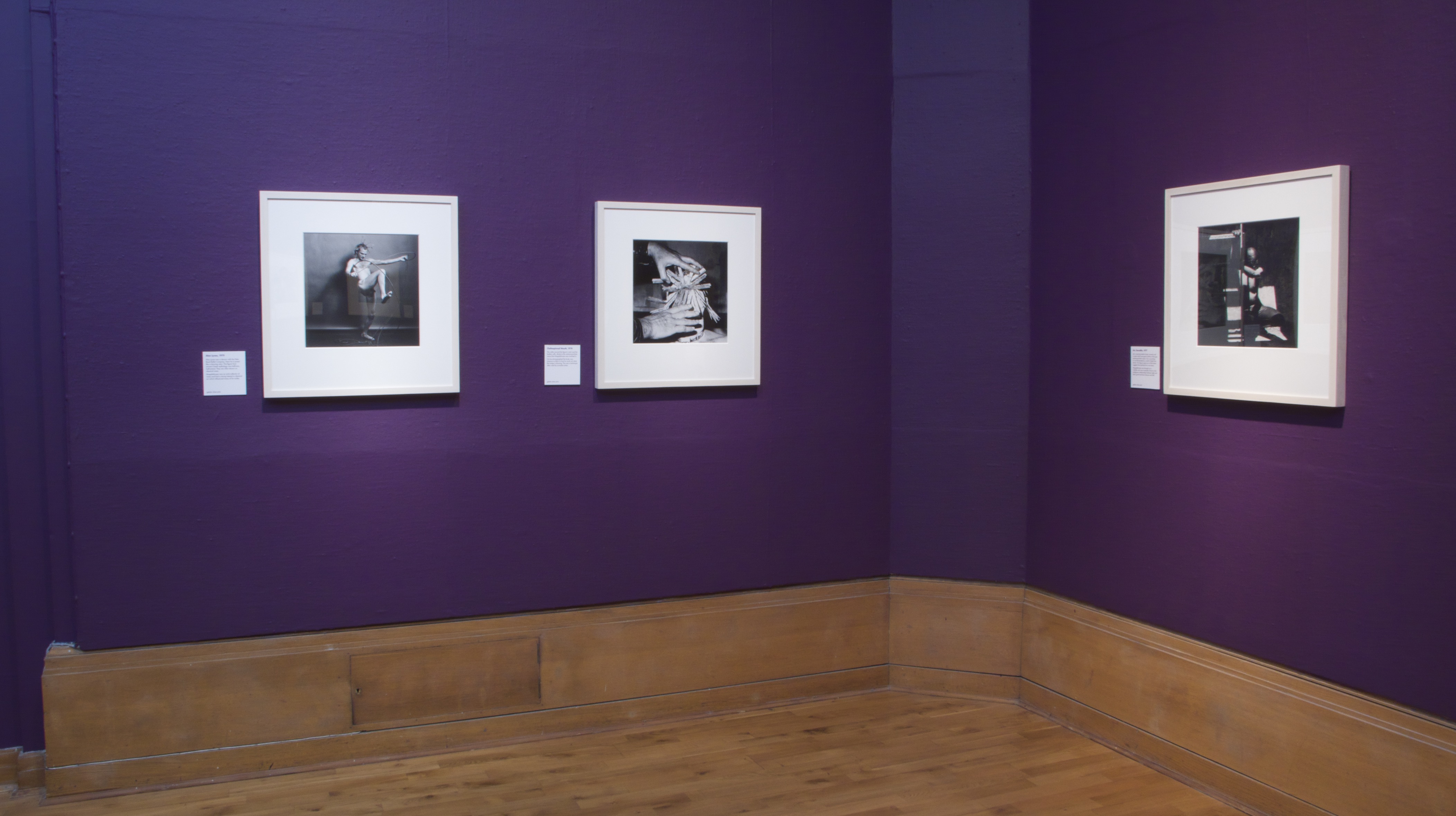 Robert Mapplethorpe
