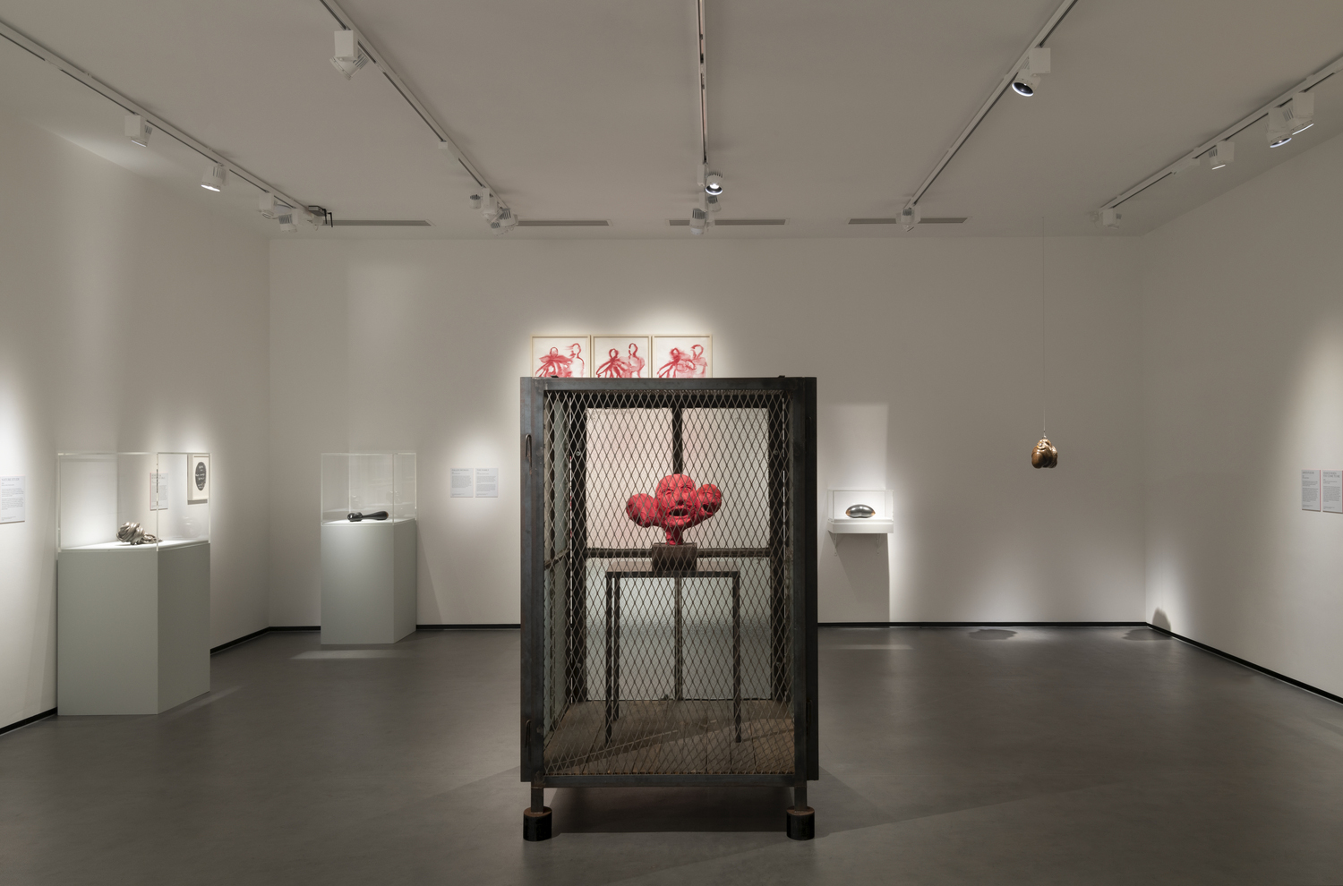 Louise Bourgeois