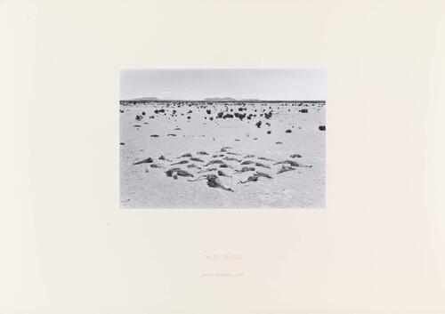 Richard Long