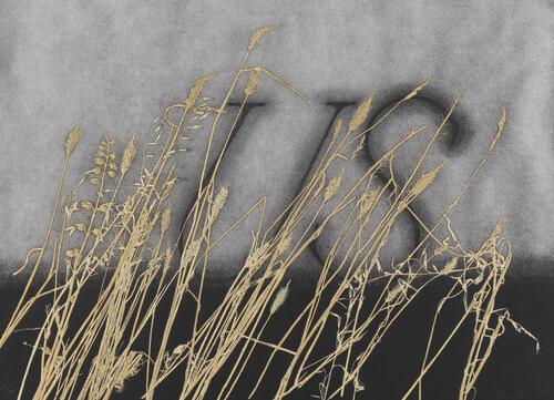 Ed Ruscha