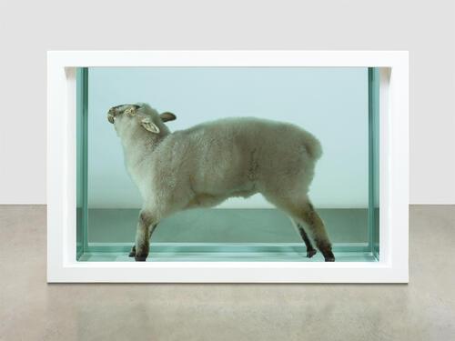 away from the flock, damien hirst, 1994