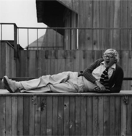 David Hockney,   1973